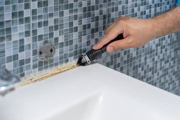 Best Mold Testing  in Apollo Beach, FL